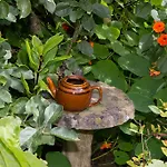 Doireliath Bed & Breakfast Bantry