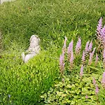 Doireliath Bed & Breakfast Bantry