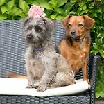 Bed & Breakfast Doireliath Bantry
