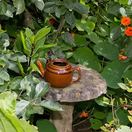 Doireliath Nocleg ze śniadaniem Bantry