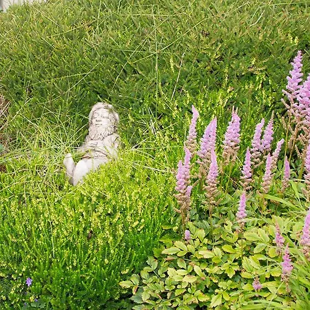 Doireliath Panzió Bantry