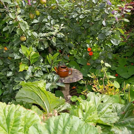 Bed and Breakfast Doireliath Bantry