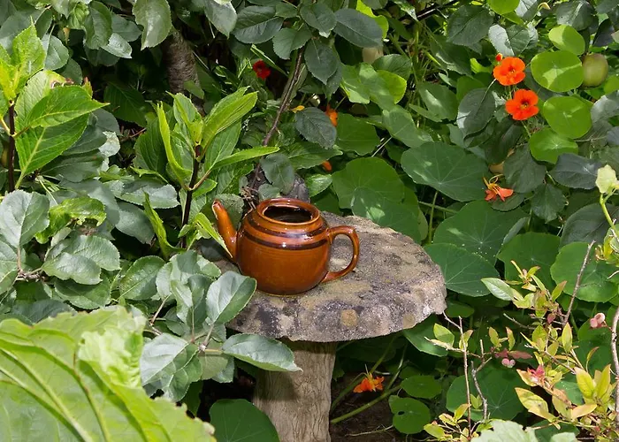 Doireliath 住宿加早餐酒店 班特里