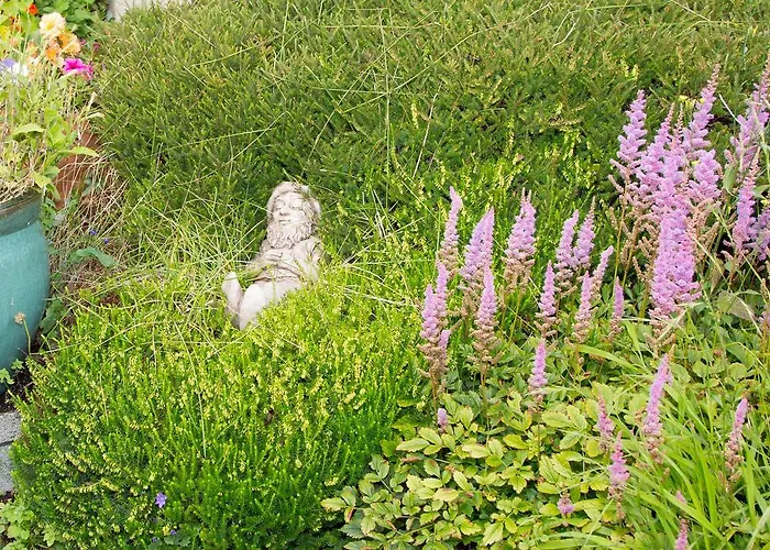 Doireliath Отель типа 